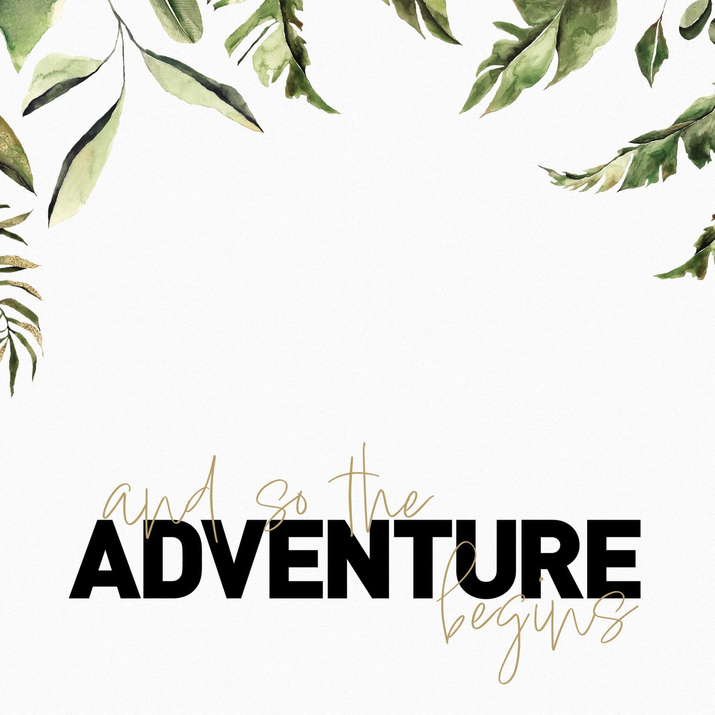 And So The Adventure Begins