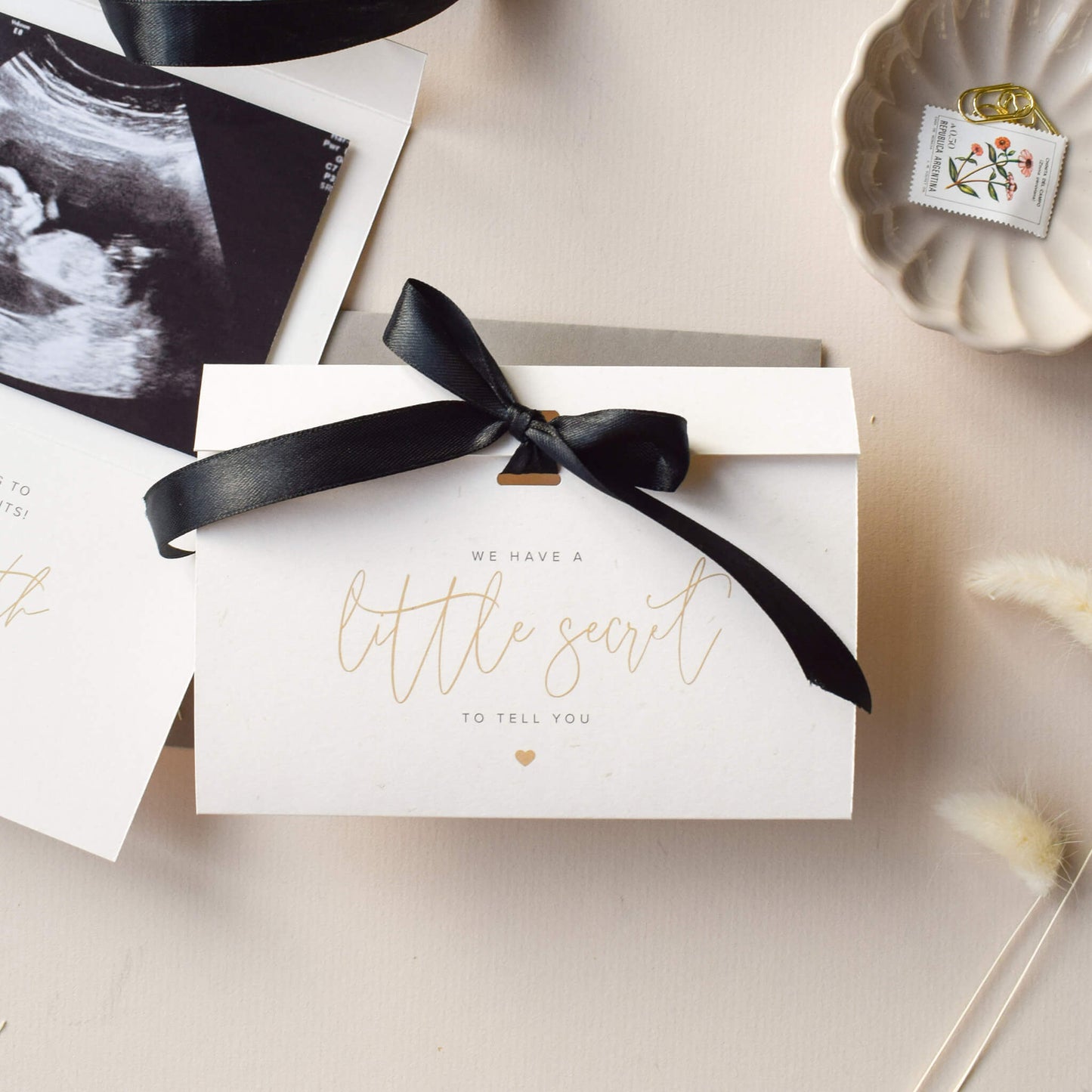 Pregnancy Announcement Card, We Have A Little Secret
