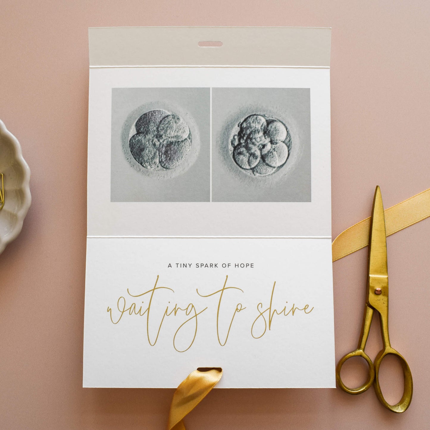 IVF One Step Closer Keepsake Card