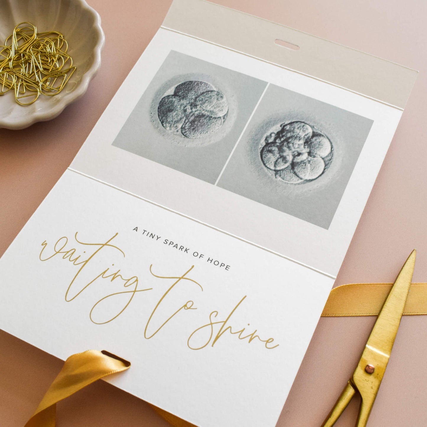 IVF One Step Closer Keepsake Card