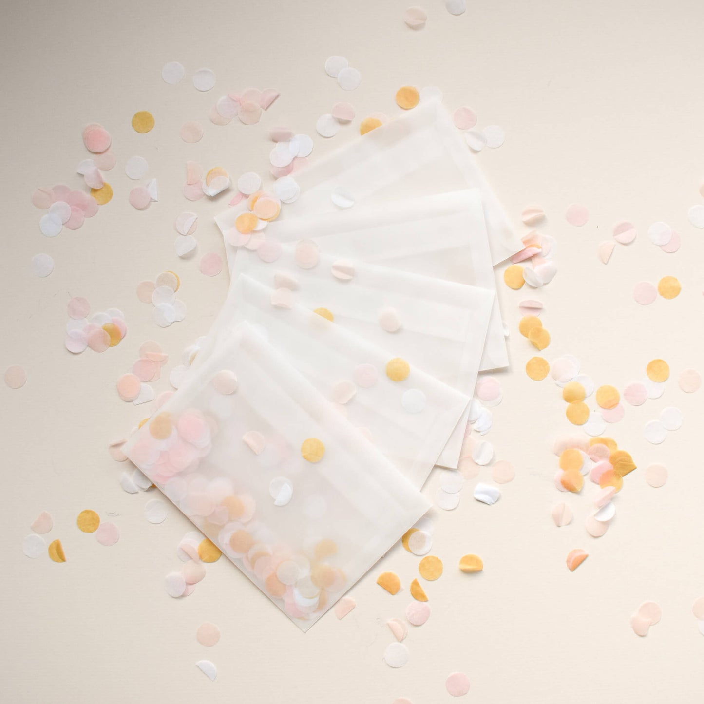 Confetti Filled Vellum Envelope