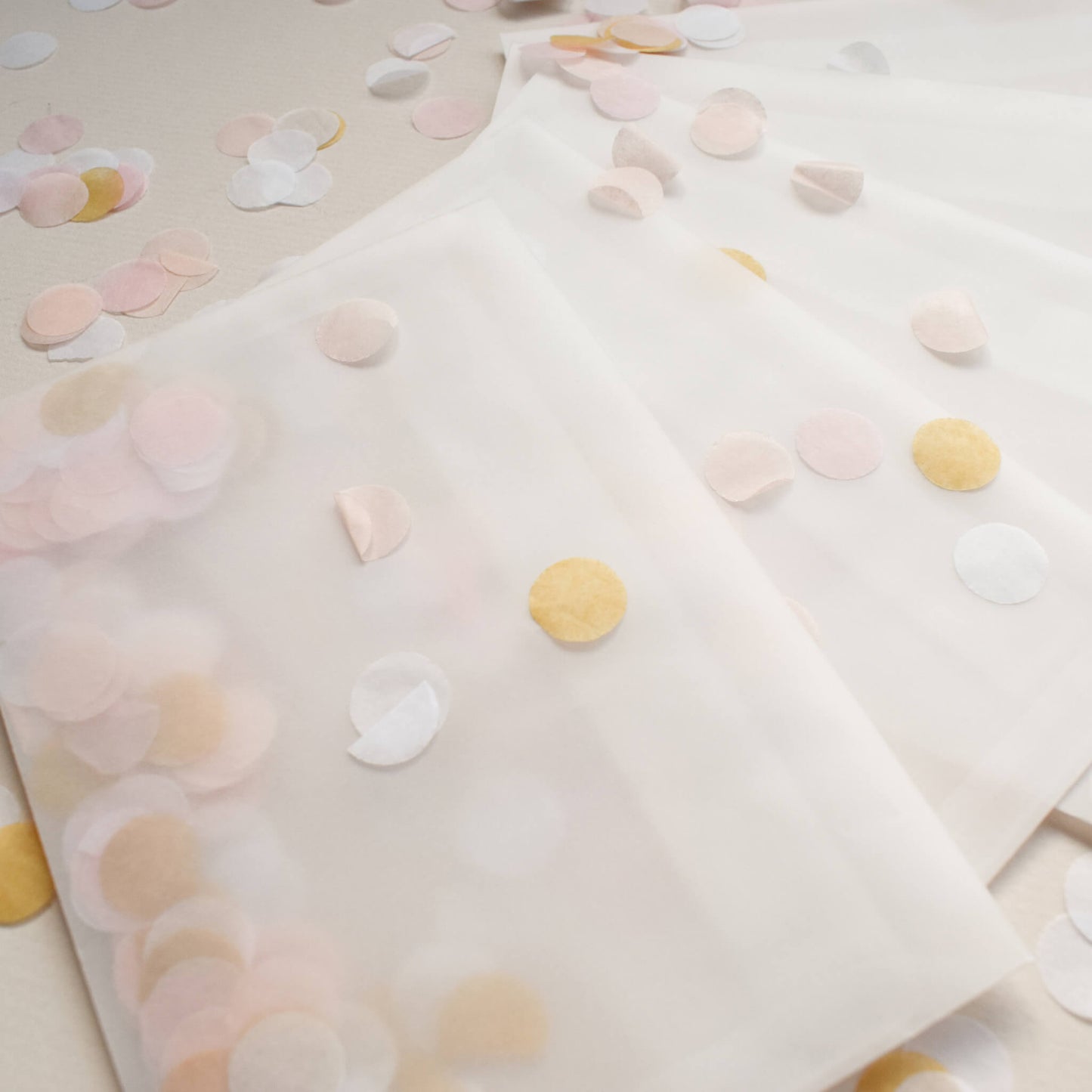 Confetti Filled Vellum Envelope