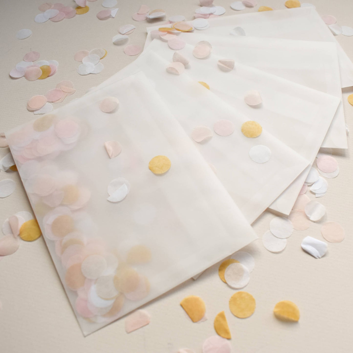 Confetti Filled Vellum Envelope