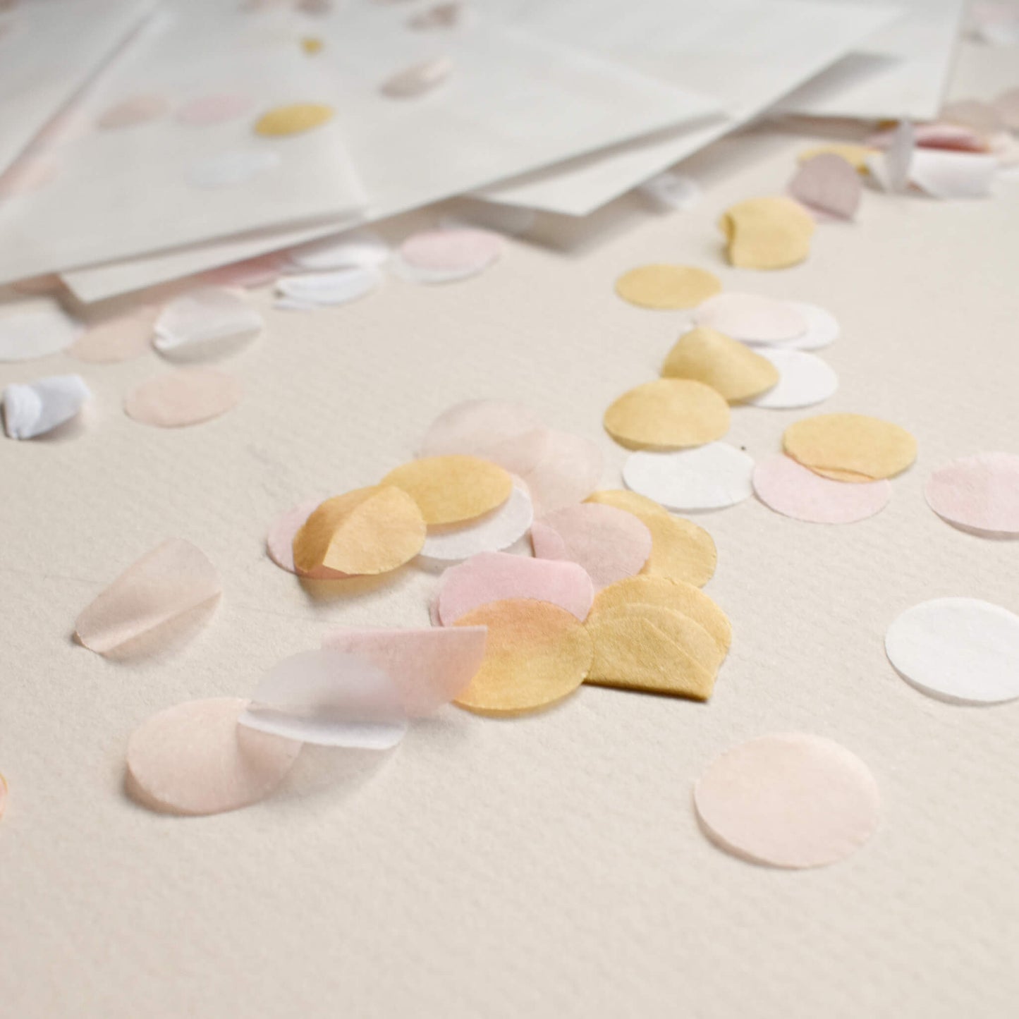 Confetti Filled Vellum Envelope