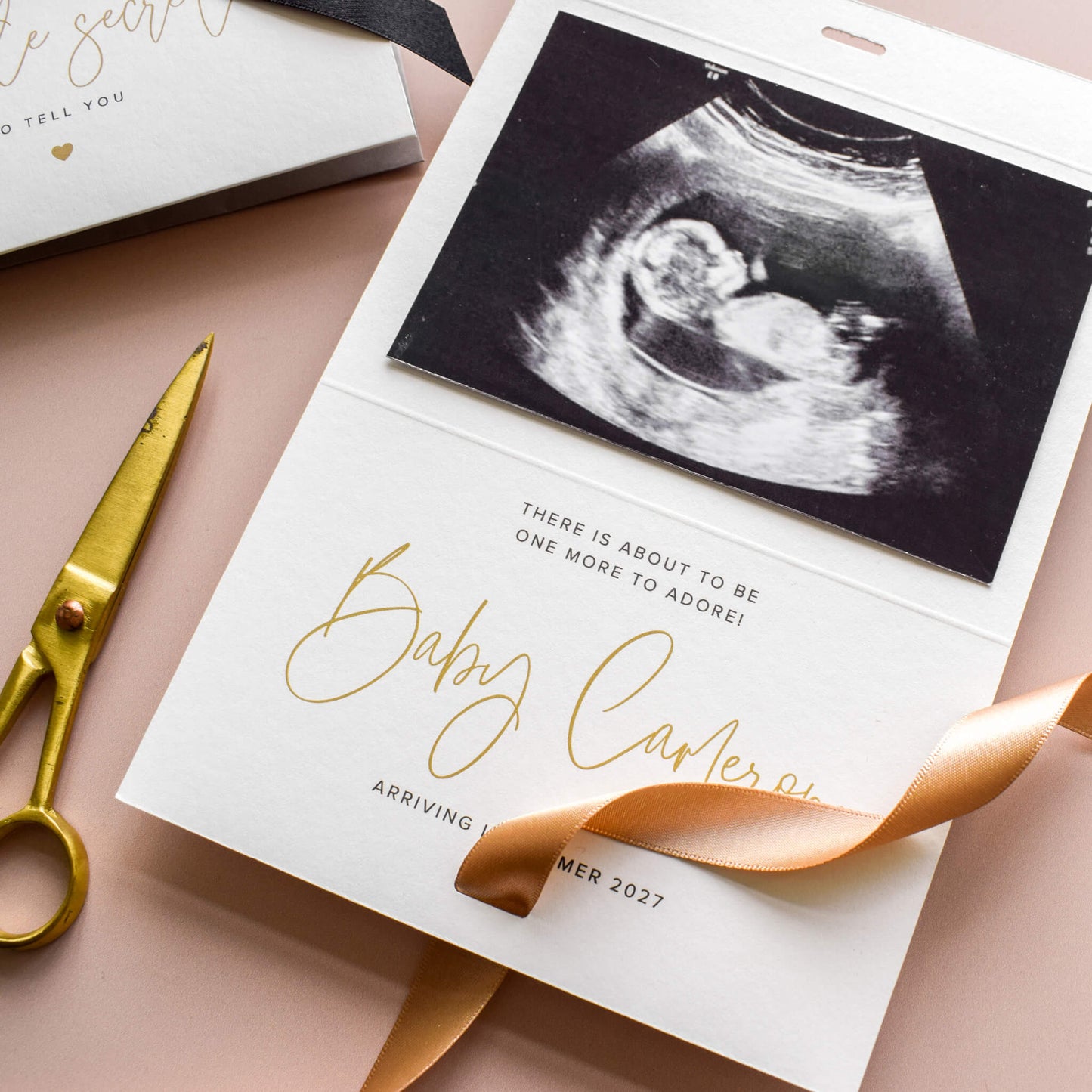 Pregnancy Announcement Card, We Have A Little Secret